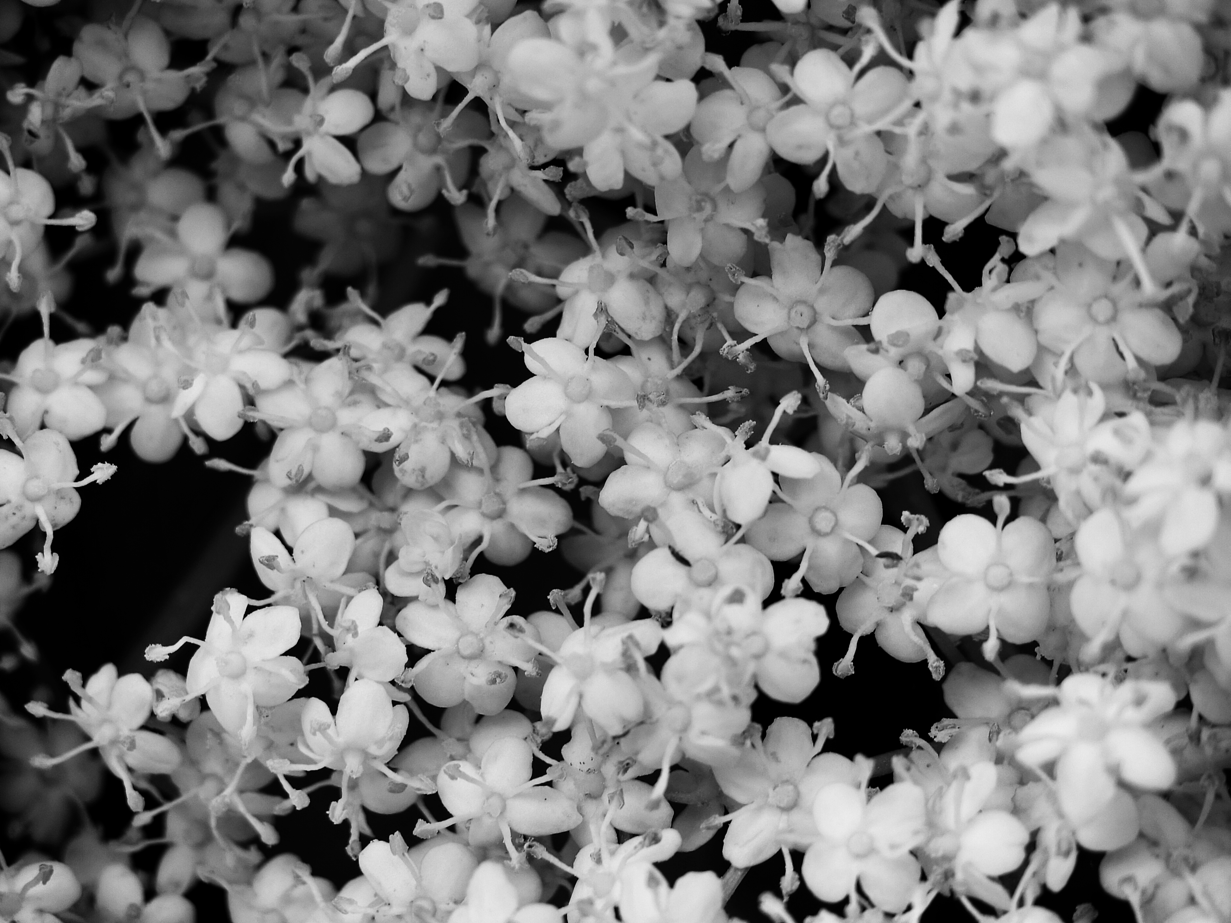 Fotografia 16, formato orizzontale