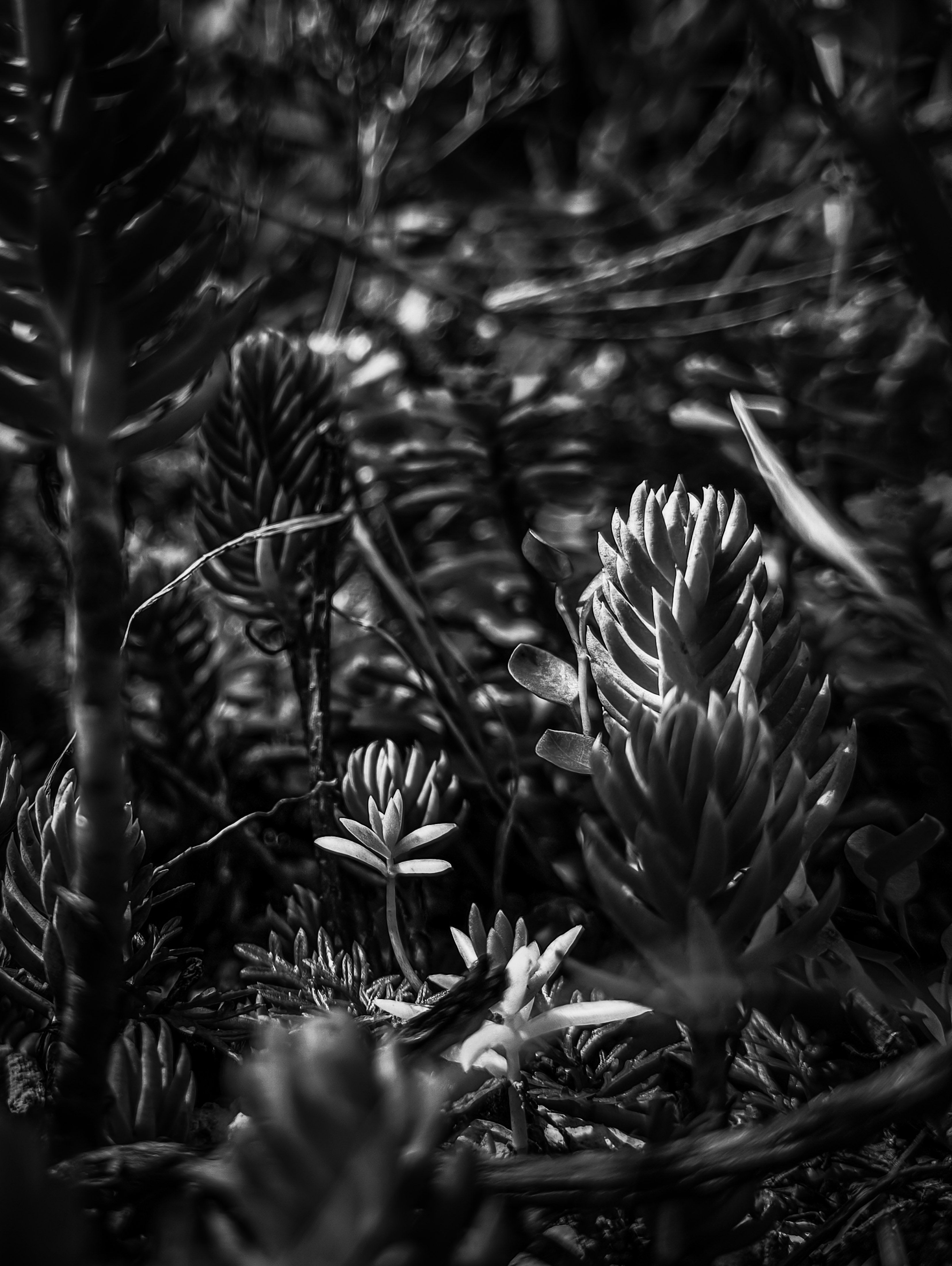 Fotografia 1, formato verticale
